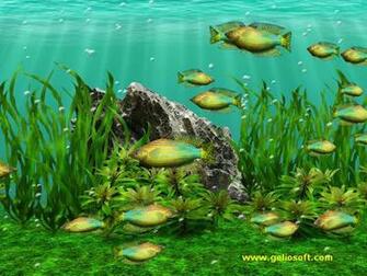 Free download Animated Fish Tank Wallpaper Wallpaper Animated [1600x900