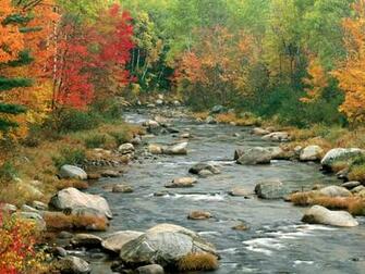 Autumn River Trees Wallpaper Full HD