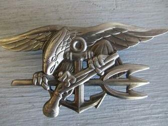 Navy Seal Trident Insignia Patriotic