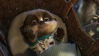 Meerkat Baby Oleg HD Wallpaper