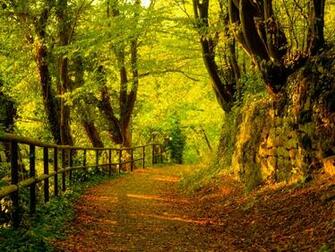 It S Autumn Desktop Pc And Mac Wallpaper