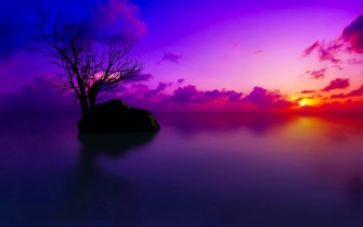 Sunset Wallpaper Desktop