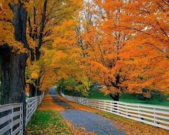 Fall Foliage Wallpaper For Desktop