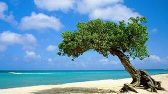 Aruba Desktop Wallpaper HD To Hq