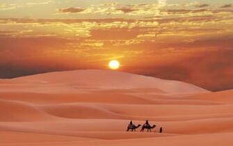 Sahara Desert Morocco Berber Sunset Camel Sand Wallpaper