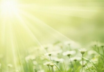 Related Pictures Newsletter Background