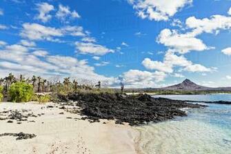 Ecuador Galapagos Islands Santa Cruz Seafront And Volcano In