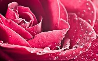 Awesome Pink Background