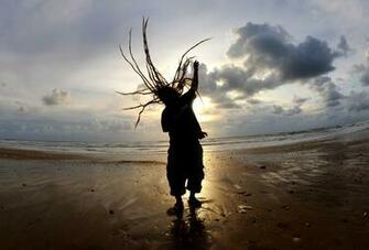 Dreadlocks HDq Wallpaper Quality HD