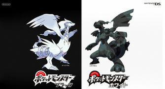 Wallpaper For Pokemon Black And White HD