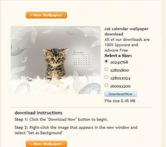 To The Blue Mountain Adorable Cat Calendar Computer Wallpaper