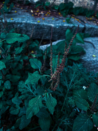 Aesthetic Moody Wallpaper