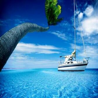 Sea Water Palm Tree Hot Summer Sky iPad Wallpaper