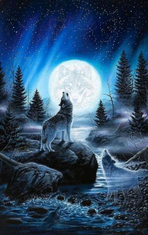 Anime Wolf iPhone Wallpaper Pro