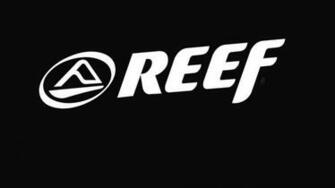Reef Miss Wallpaper