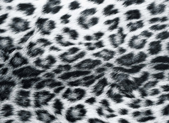Black And White Animal Print Wallpaper