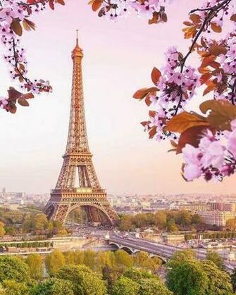 David Laplaca On Initial Thoughts In Paris