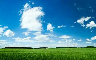 Field Peaceful Landscape HD Wallpaper Epic Desktop Background