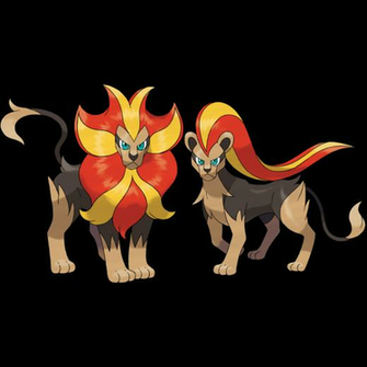 Pyroar Pok Mon Bulbapedia The Community Driven