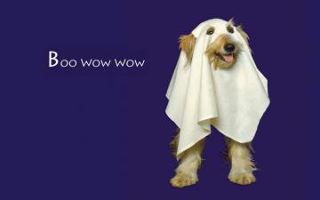 Boo Wow Wallpaper In Jpg Format For