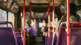 Best Bus Pictures Image