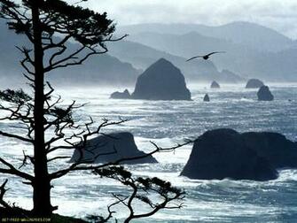 Ecola Point Oregon Coast Wallpaper
