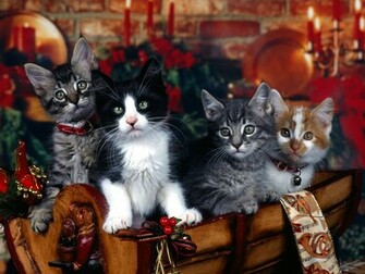 Pretty Christmas Gift Wallpaper Stock Photos