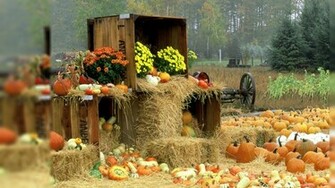 Fall Computer Wallpaper