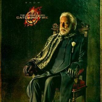 The Hunger Games iPad Wallpaper Retina HD