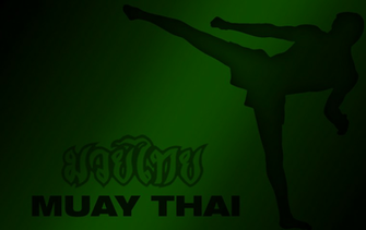 Sports Martial Arts Wallpaper