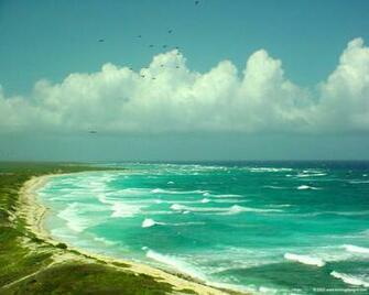 Best Cozumel Wallpaper Reefs