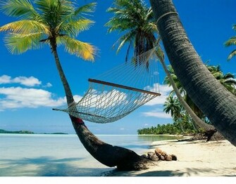 Beach Paradise Wallpaper Photo Jpg