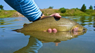 Green River Float Grand Teton Fly Fishing
