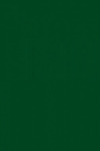 Resolution Up Forest Green Solid Color Background