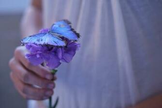 Flower Purple Butterfly Beautiful Hand Girl Background Wallpaper