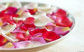 Spa Relaxation Wallpaper Posters Elements Prints Desktop