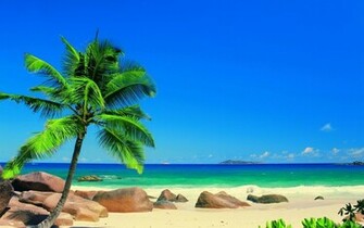 Tropical Beaches In Florida HD Wallpaper