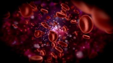 Red Blood Cells Flow Traveling Through A Vein Inside Body