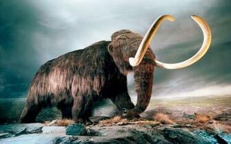 Mammut World Of Animals From The Past HD Wallpaper Wallpaper13