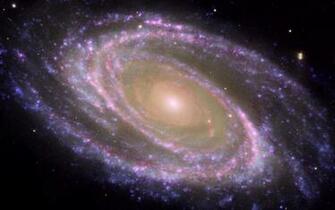 Space Image M81 Galaxy Is Pretty In Pink