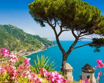X Sorrento Italy Jpeg V Background