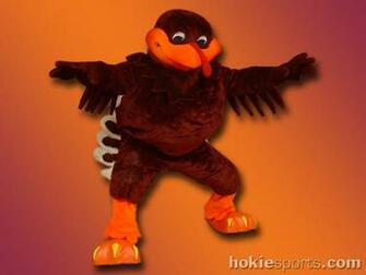 Hokie Wallpaper