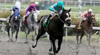 Zenyatta Dancing Sets Record