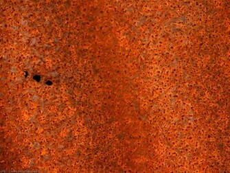 Wallpaper Just A Piece Of Rust Red Rusted Sheet Metal