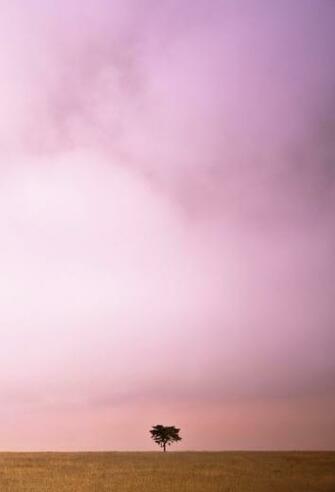 Wallpaper Vintage iPhone By