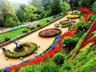 Beautiful Rose Gardens HD Wallpaper Garden New Home
