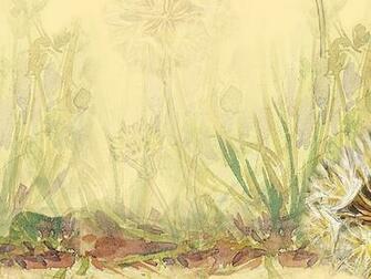 Flower Fairies Pictures HD Wallpaper Pretty