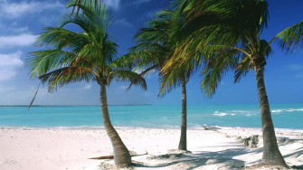 Caribbean Beach Wallpaper