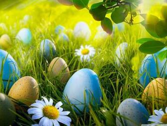 Easter Egg Hunt Ultra HD Desktop Background Wallpaper For 4k UHD