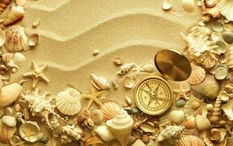 Ocean Sand Shells HD Wallpaper Background Image